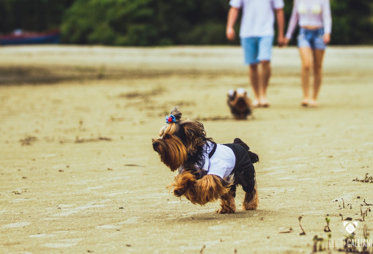 casamentos-noiva-jaragua-do-sul-saobentodosul-blumenau-corupa-schroeder-sao-bento-do-sul-guaramirim-massaranduba-joinville-make-noiva-melhor-fotografo-de-casamento-wedding-photographer-top-cerimonial-decoração