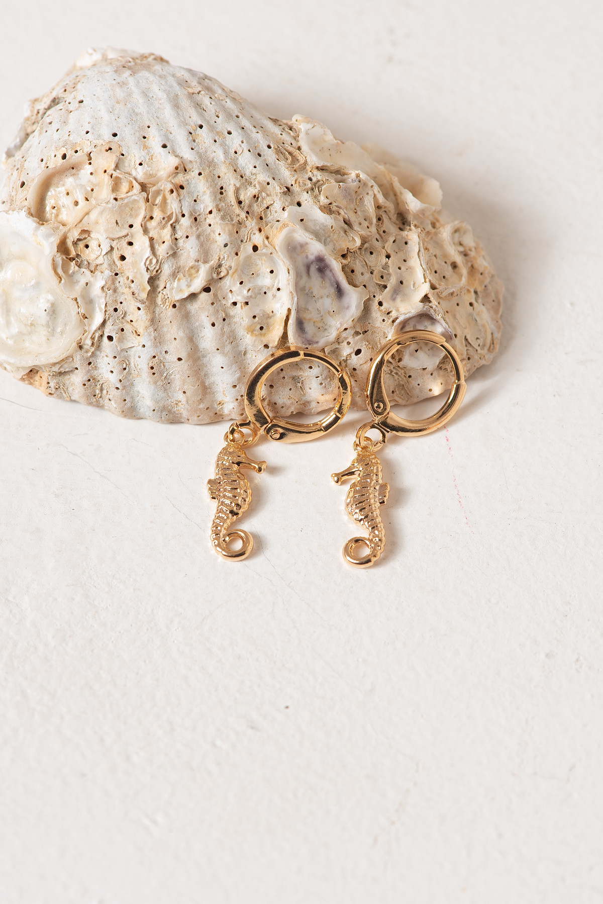 Campanha de Moda Brias Barume Jóias, Fotografia de Moda e Produtos Semijóias, Modelo Isabela Pardini, fotógrafo Gresley Guimarães do Estúdio Abrassear, Locação Casa Bali em Contagem, Grande Bh