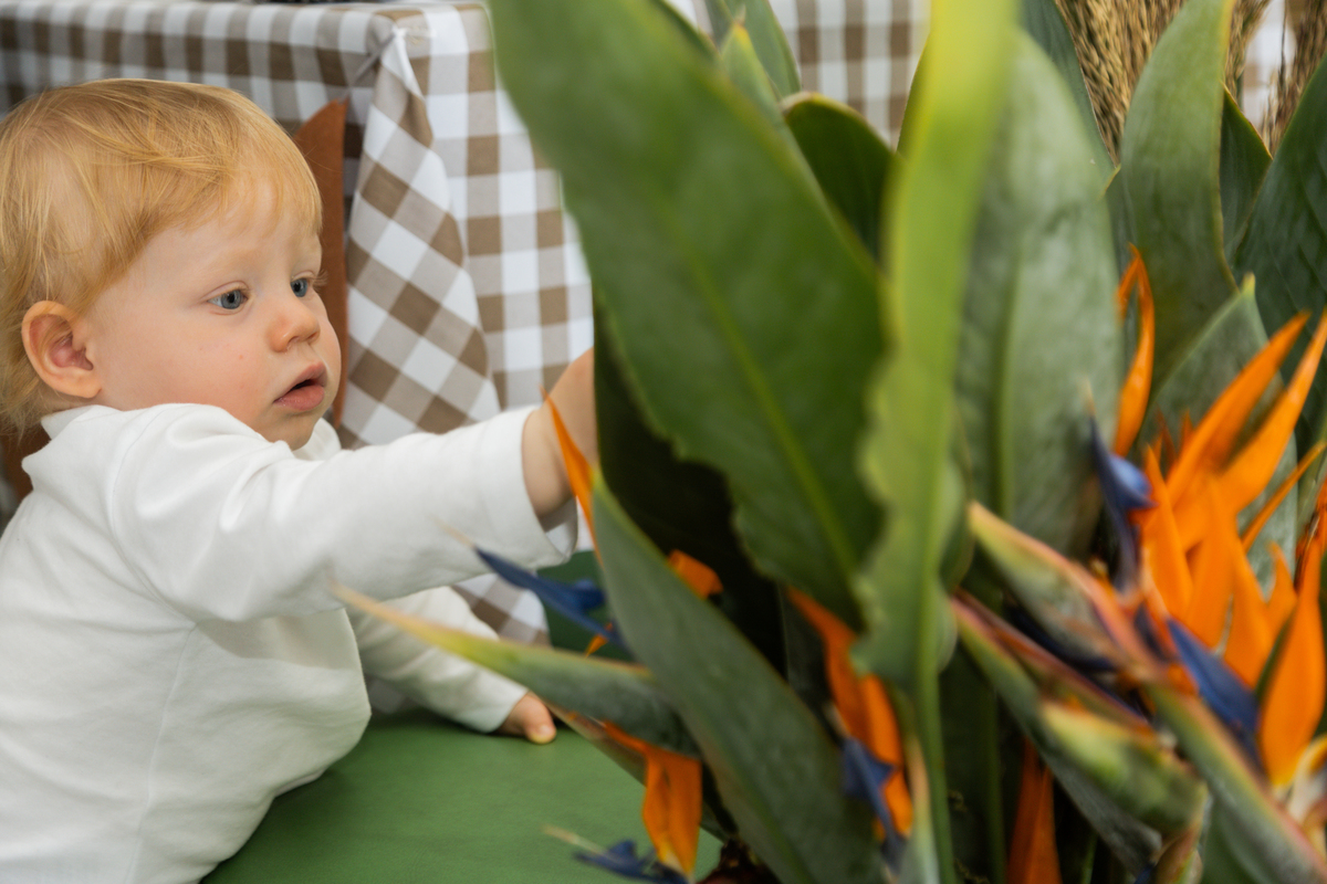 Foto do aniversariante brincando com as plantinhas da decoração da festa.
