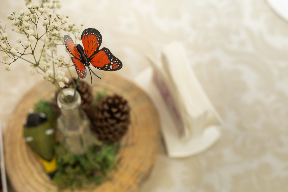 Foto de detalhe da decoração com o centro de mesa, um arranjo com pinhas, passarinhos e borboleta