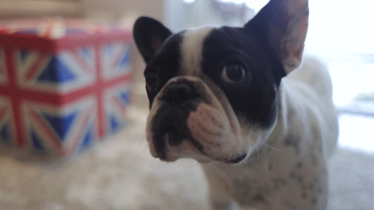 FOTOGRAFIA ENSAIO CASAL SÃO PAULO POR HRT FILMES