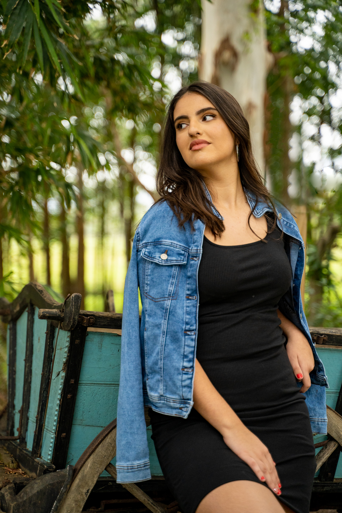 ensaio externo feminino de 15 anos em osorio - julia motti fotografia