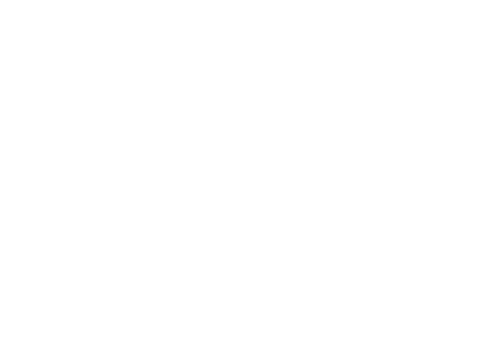 Logotipo de cailaine ebele fotografias