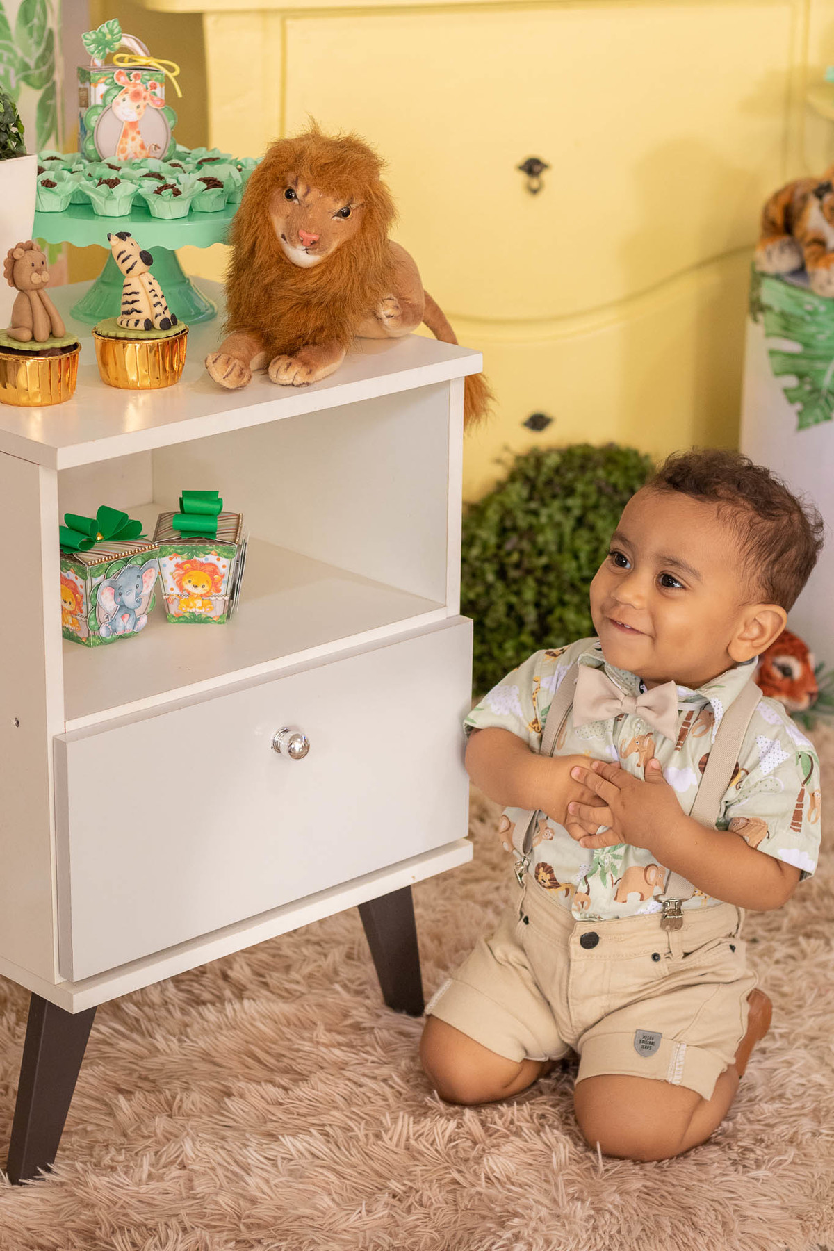 aniversario infantil em alta floresta mt