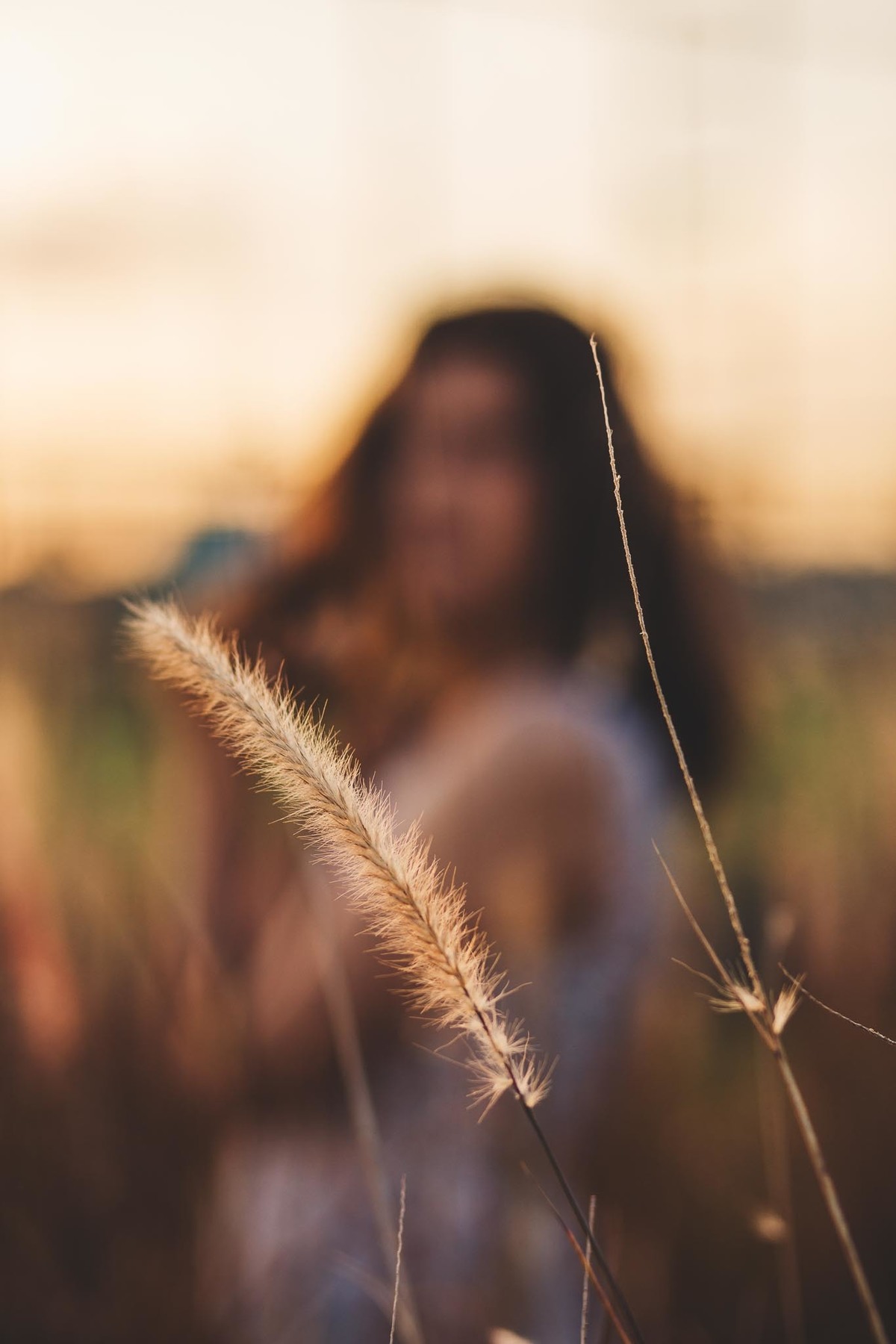 ensaio fotográfico no campo em alta floresta mt