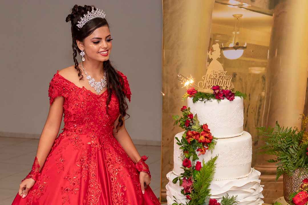 decoração de 15 anos em alta floresta a bela e a fera