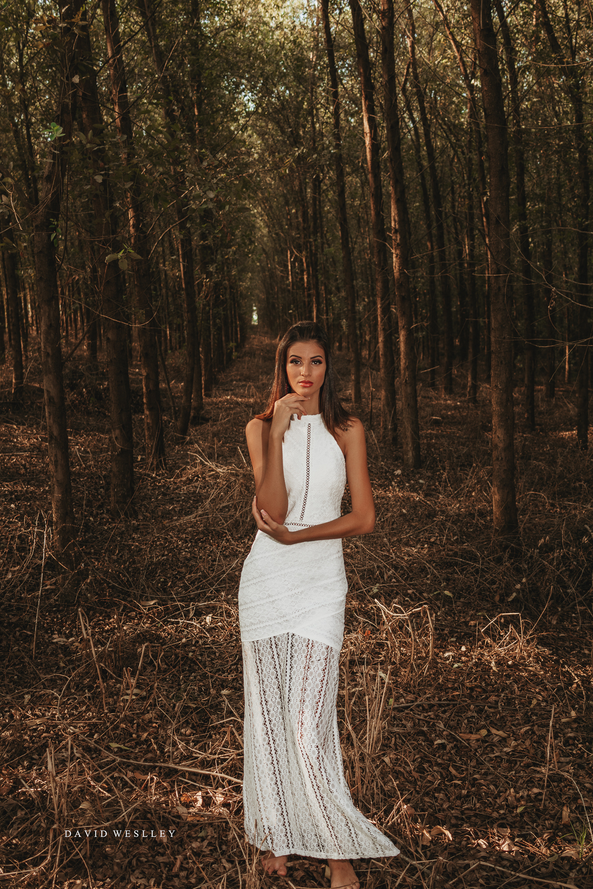 Ensaio em Lucas do Rio Verde