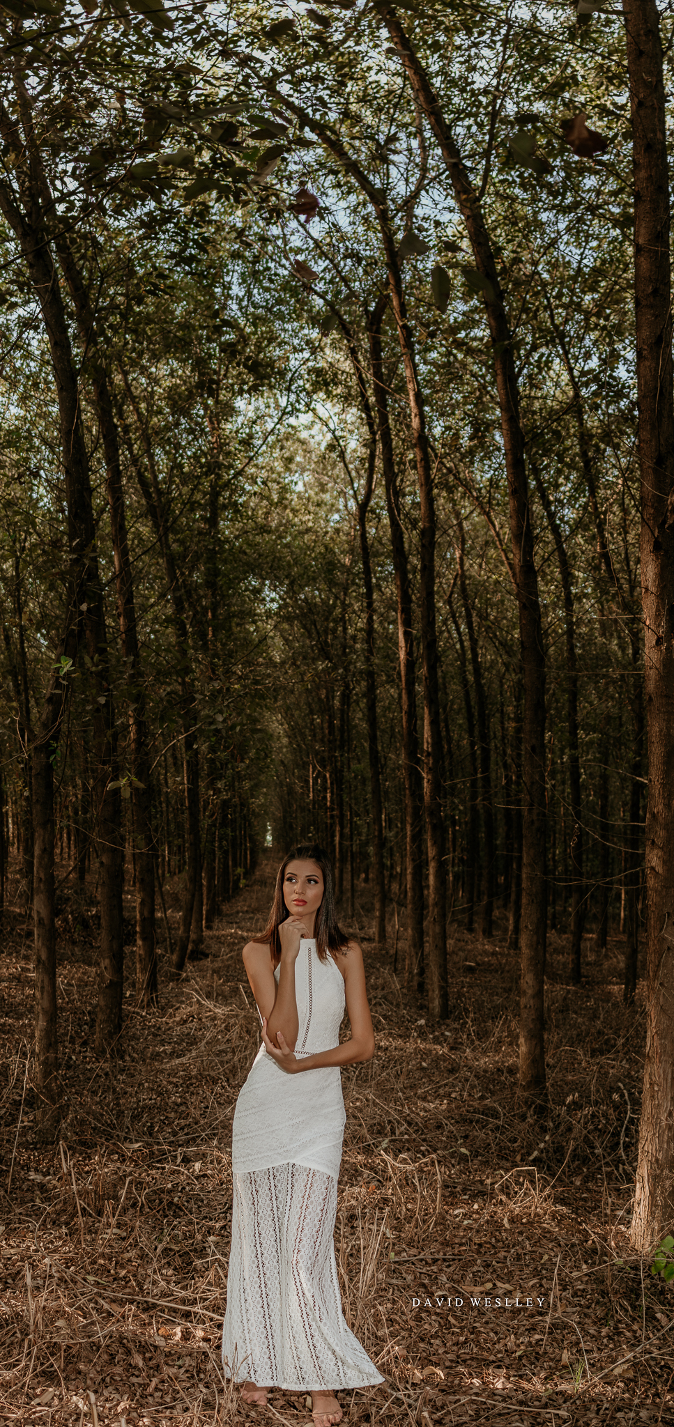 Ensaio em Lucas do Rio Verde