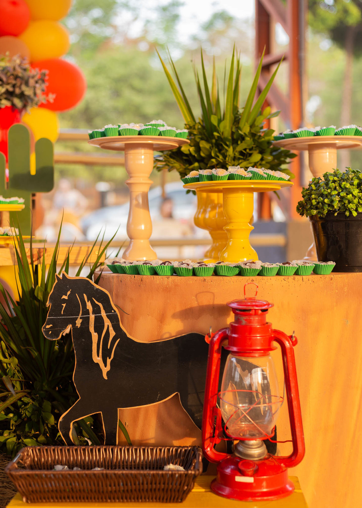 Aniversario Infantil em Alta Floresta 