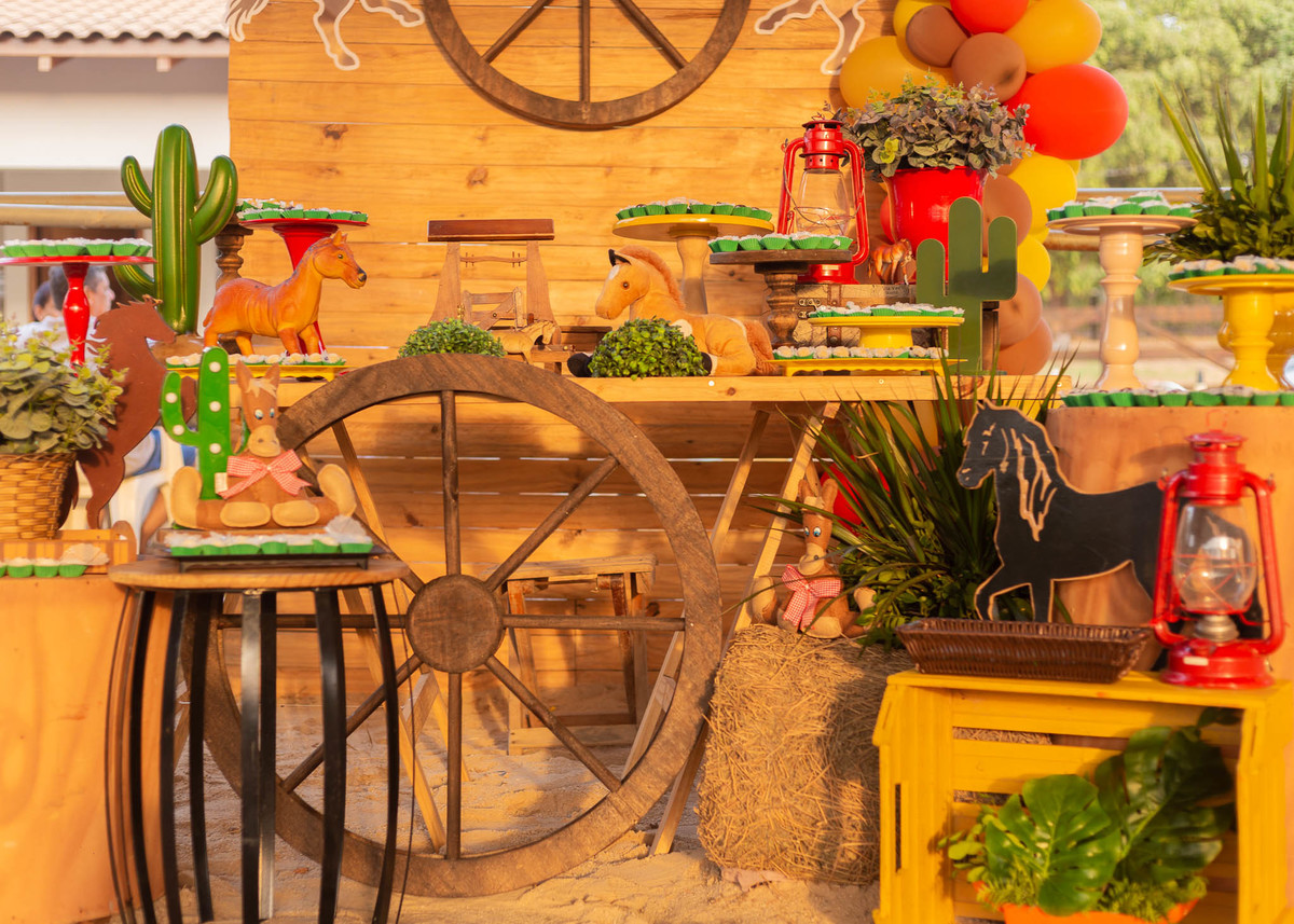 Aniversario Infantil em Alta Floresta 