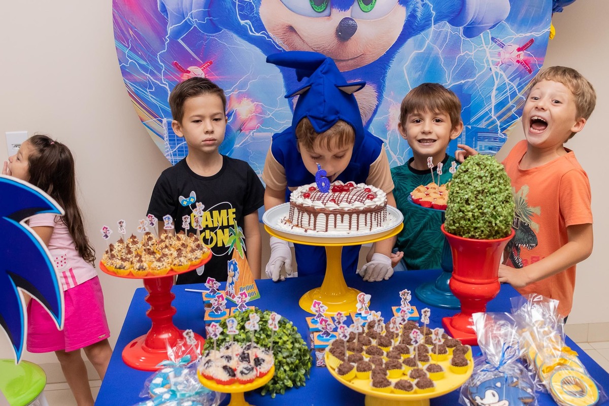 festa de aniversario do sonic em alta floresta