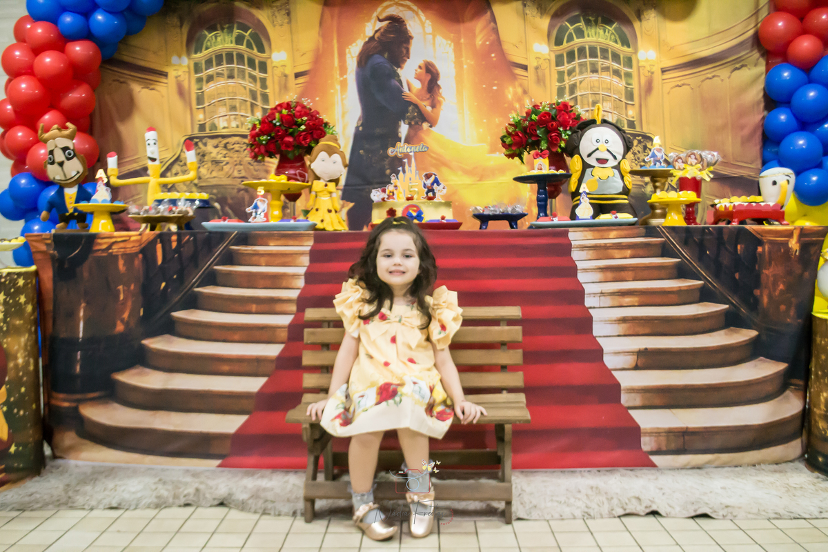 festa-infantil-a-bela-e-a-fera-lins-rj