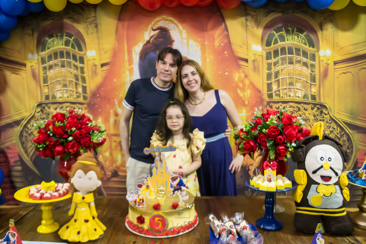 festa-infantil-a-bela-e-a-fera-lins-rj