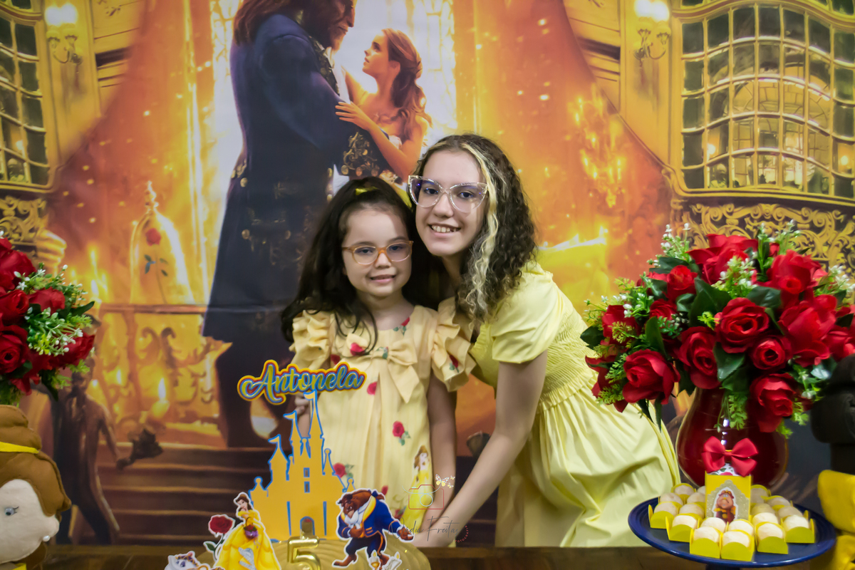 festa-infantil-a-bela-e-a-fera-lins-rj
