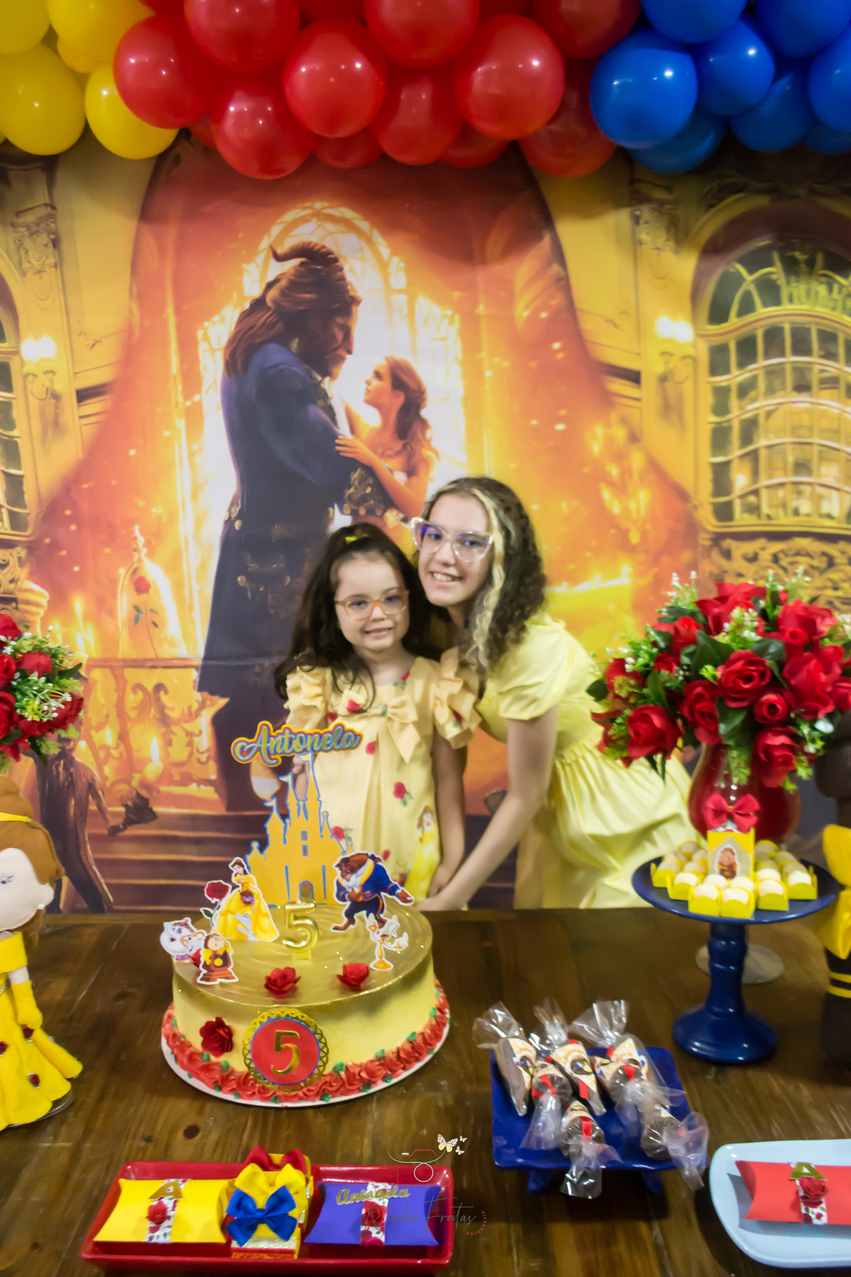 festa-infantil-a-bela-e-a-fera-lins-rj