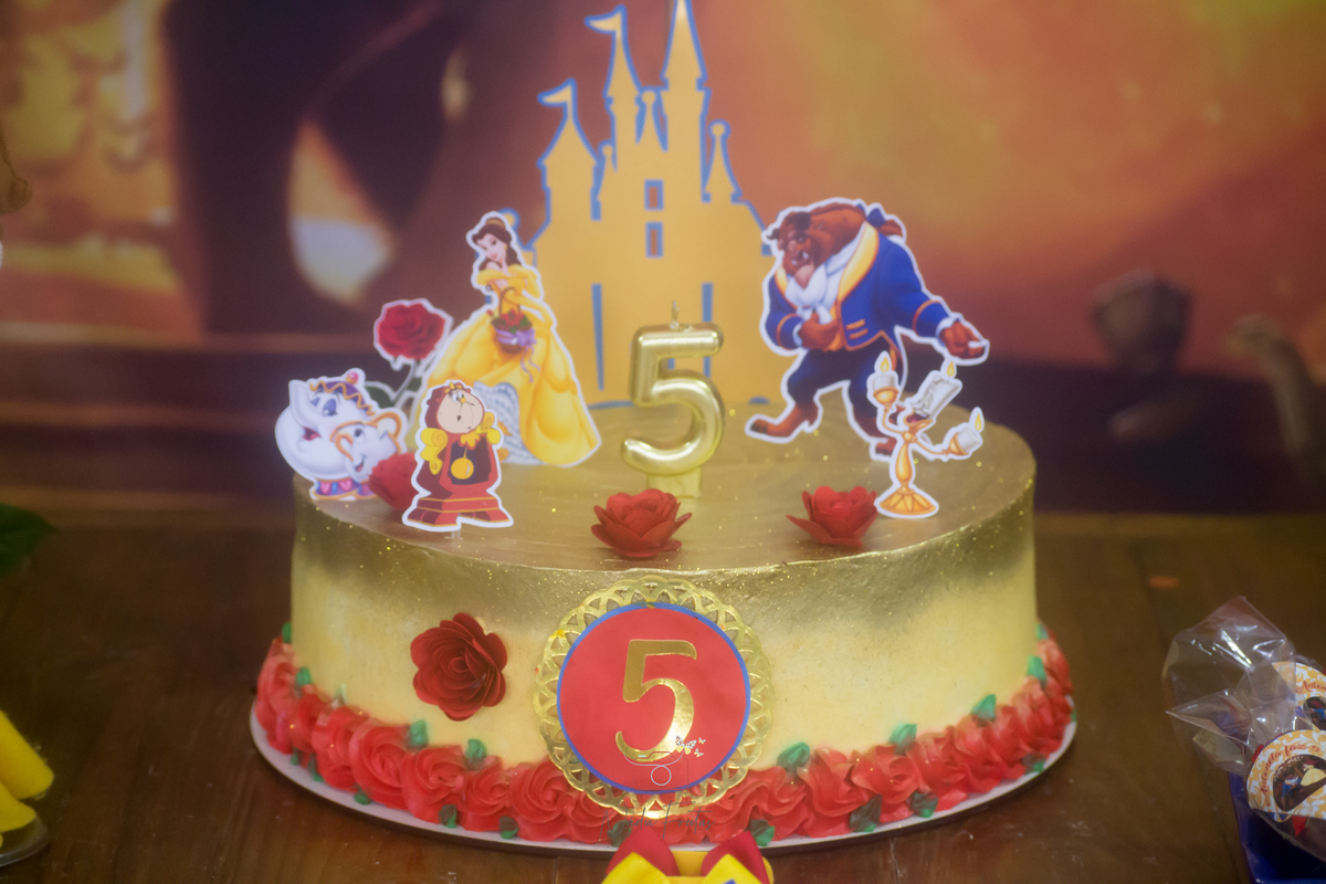 festa-infantil-a-bela-e-a-fera-lins-rj