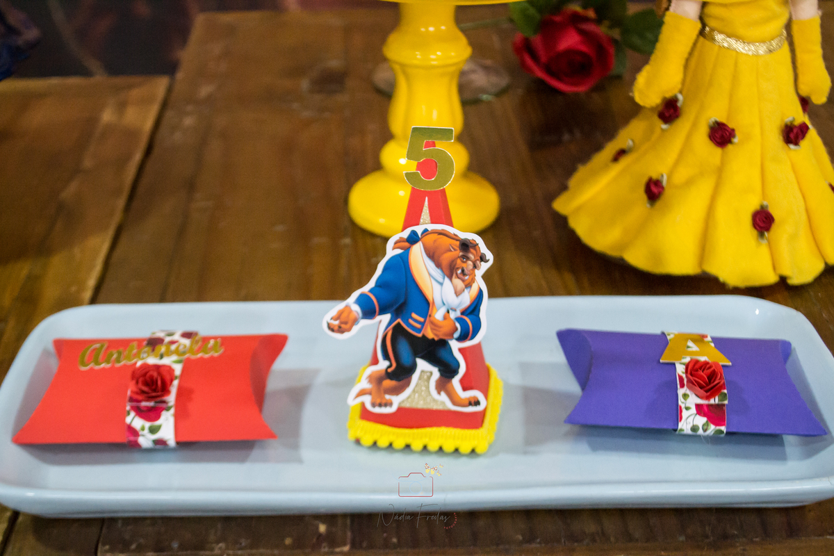 festa-infantil-a-bela-e-a-fera-lins-rj