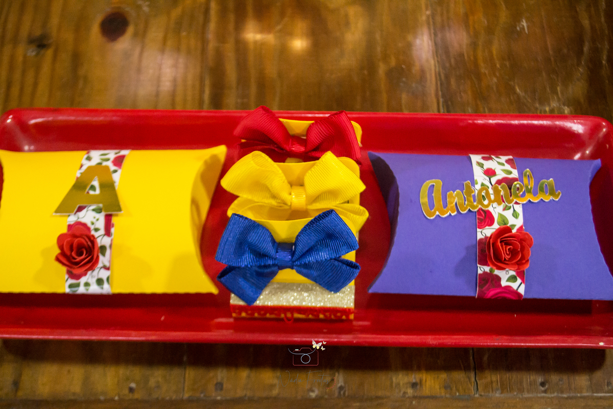 festa-infantil-a-bela-e-a-fera-lins-rj