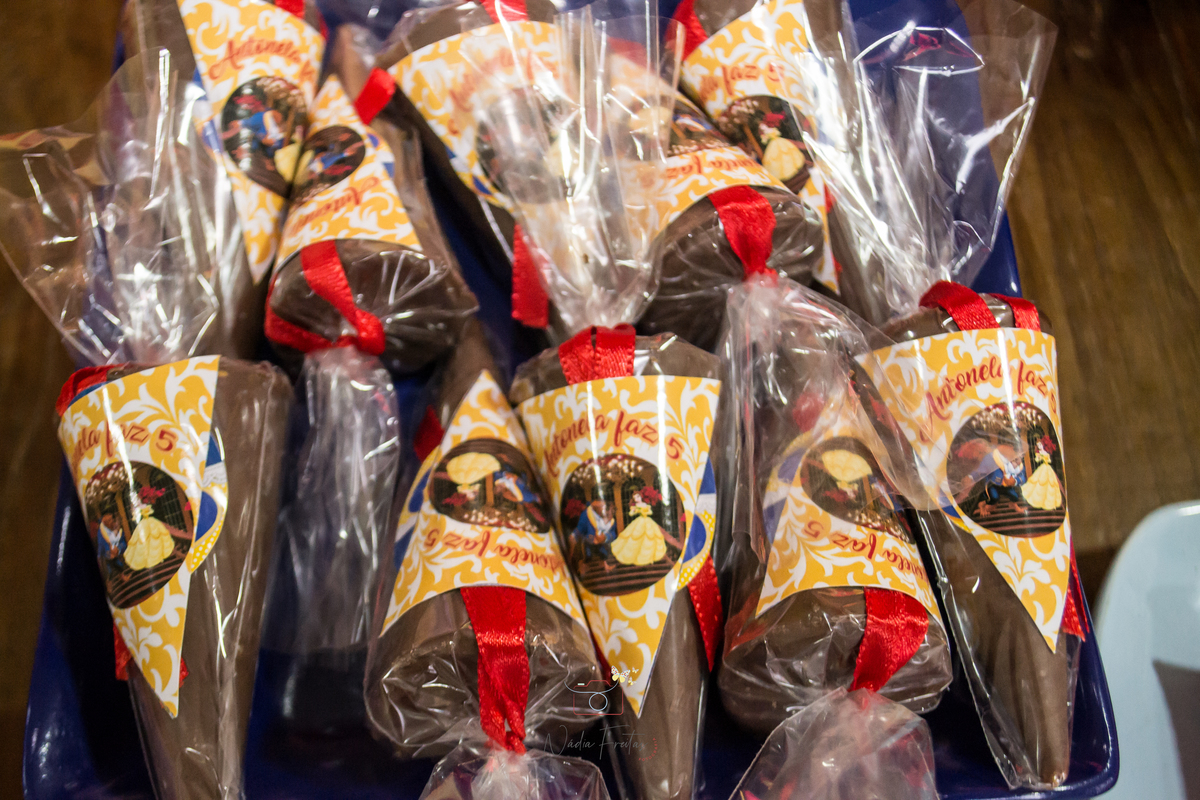 festa-infantil-a-bela-e-a-fera-lins-rj