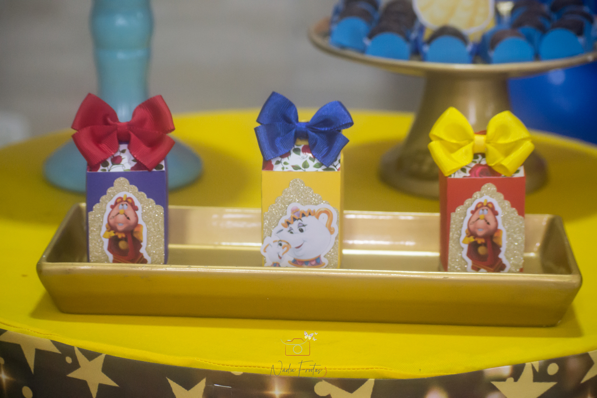 festa-infantil-a-bela-e-a-fera-lins-rj