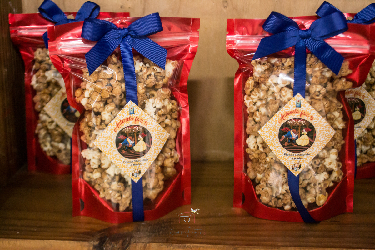 festa-infantil-a-bela-e-a-fera-lins-rj