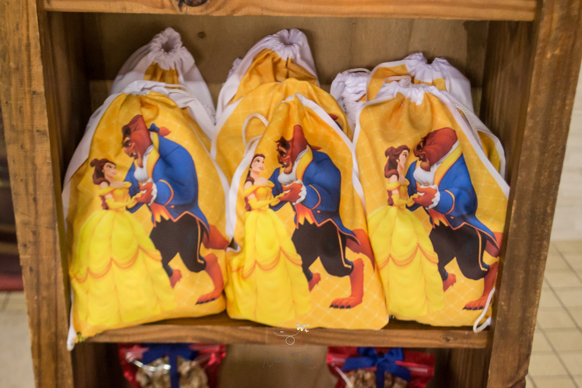 festa-infantil-a-bela-e-a-fera-lins-rj