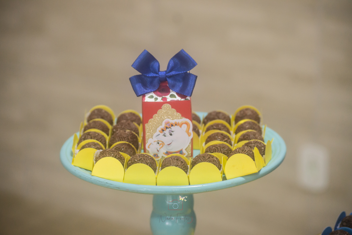 festa-infantil-a-bela-e-a-fera-lins-rj