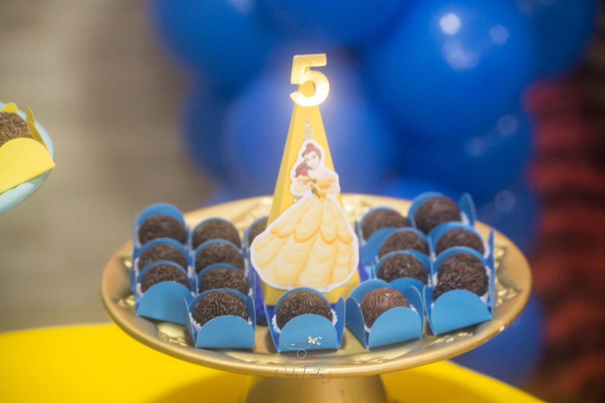 festa-infantil-a-bela-e-a-fera-lins-rj