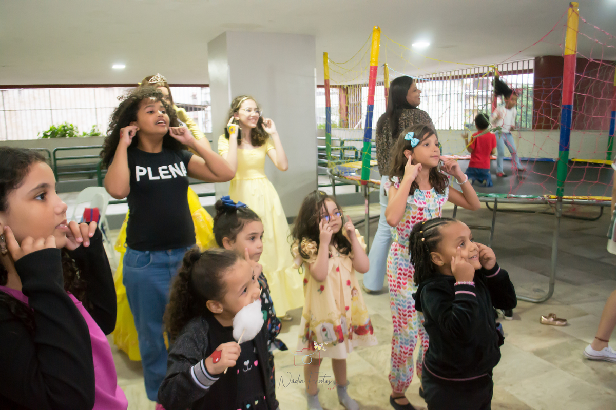 festa-infantil-a-bela-e-a-fera-lins-rj