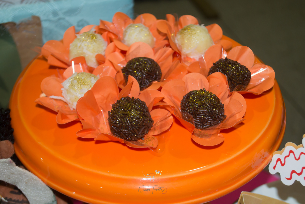 festa-infantil-moana-rj