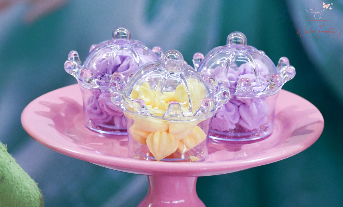 festa-princesas-disney-rj