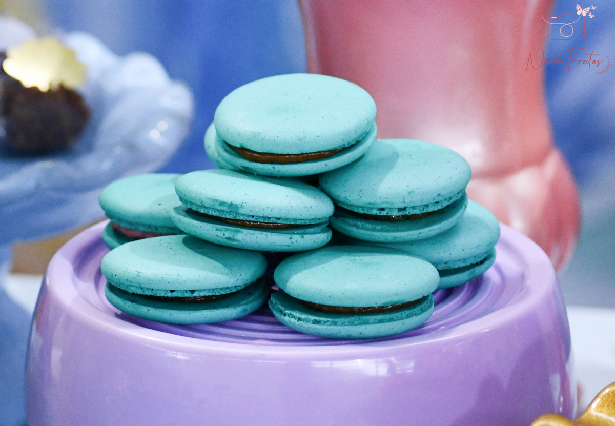 festa-princesas-disney-rj