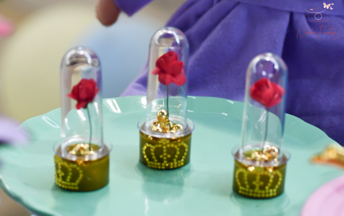 festa-princesas-disney-rj