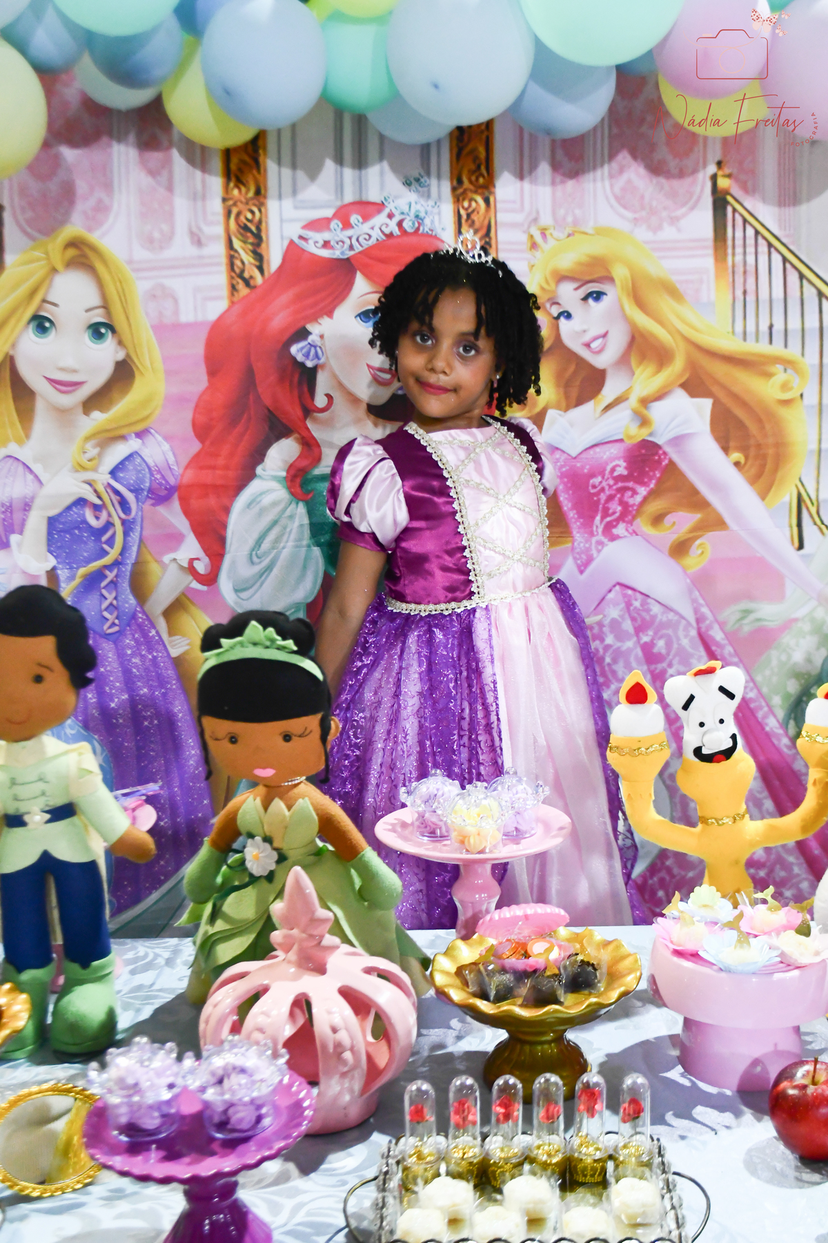 festa-princesas-disney-rj