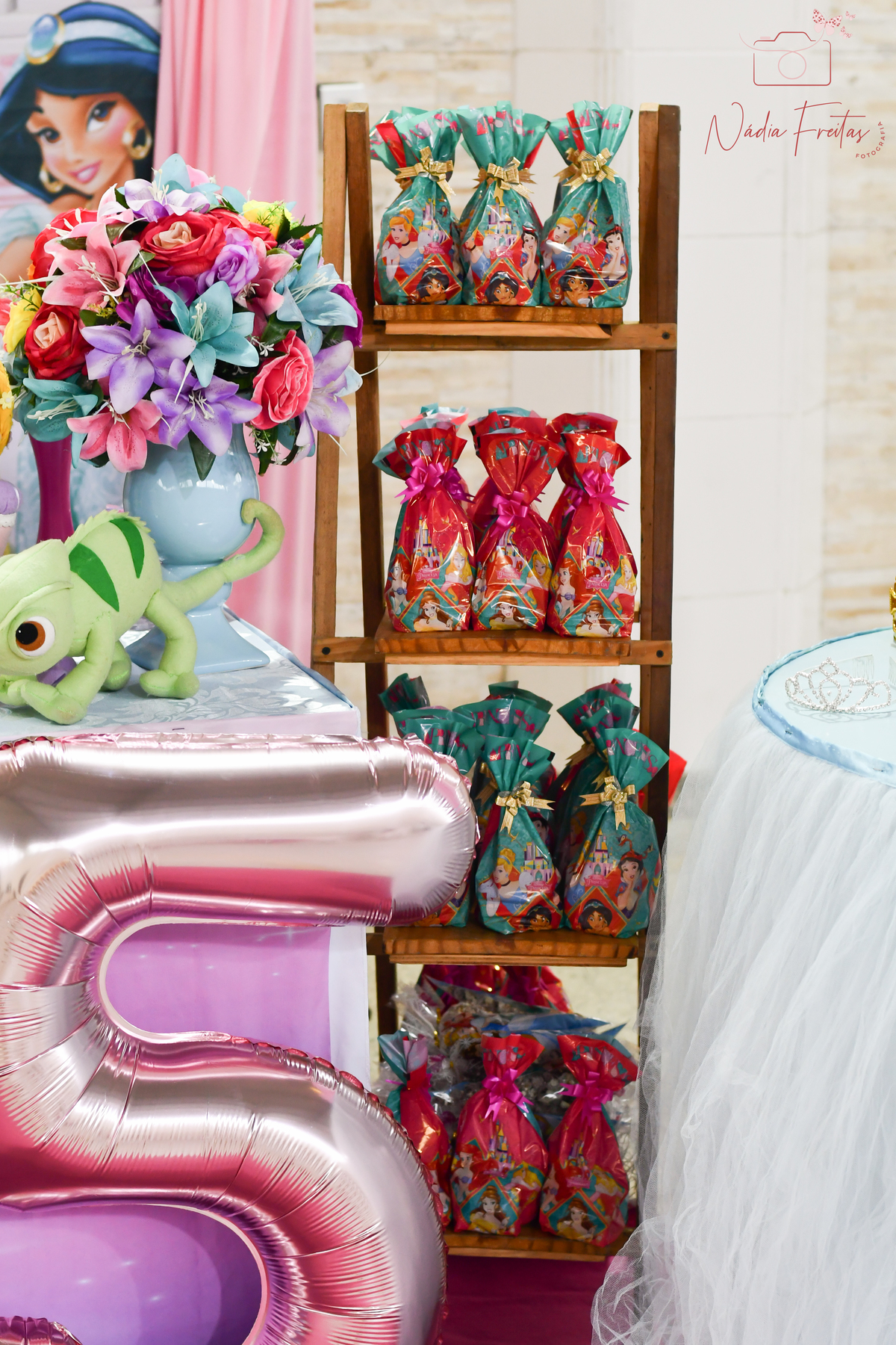 festa-princesas-disney-rj