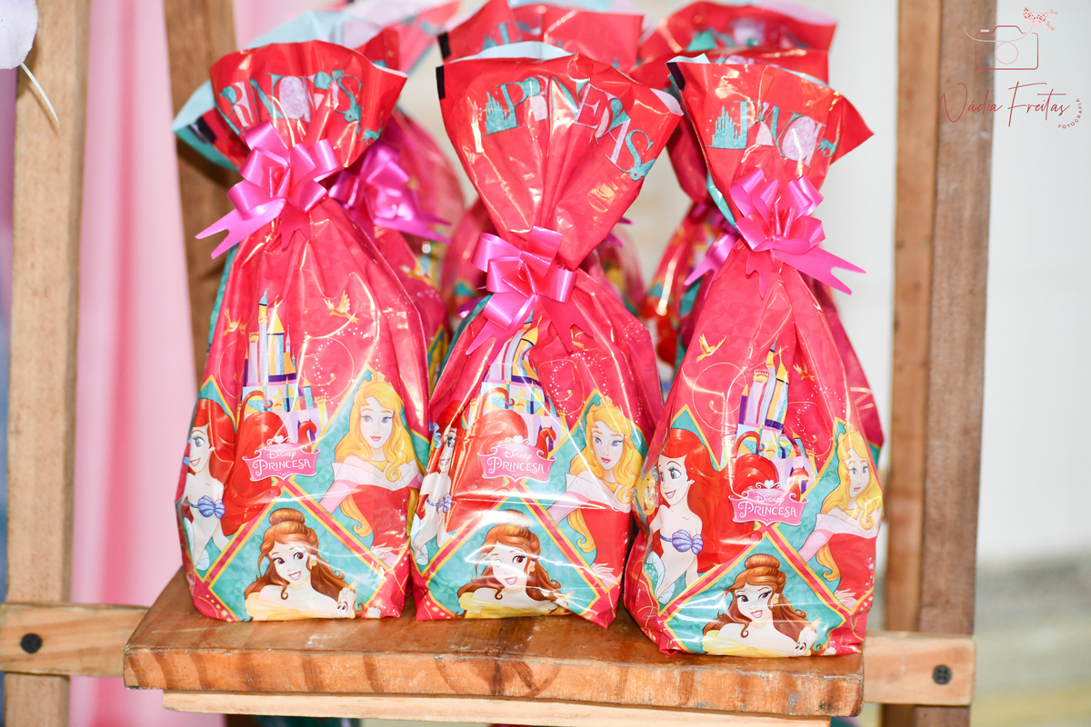festa-princesas-disney-rj