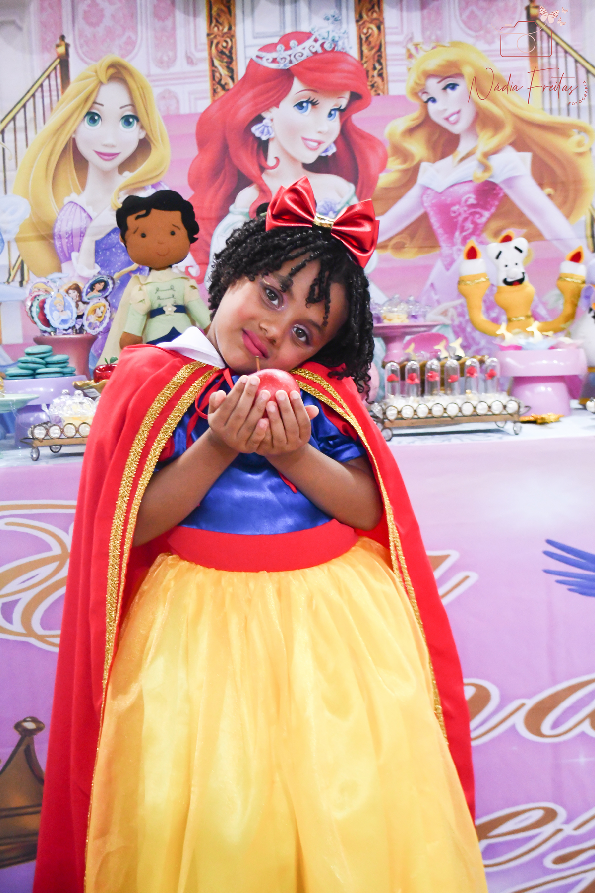 festa-princesas-disney-rj