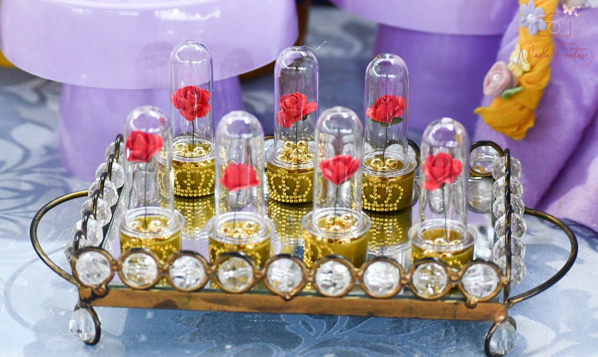 festa-princesas-disney-rj