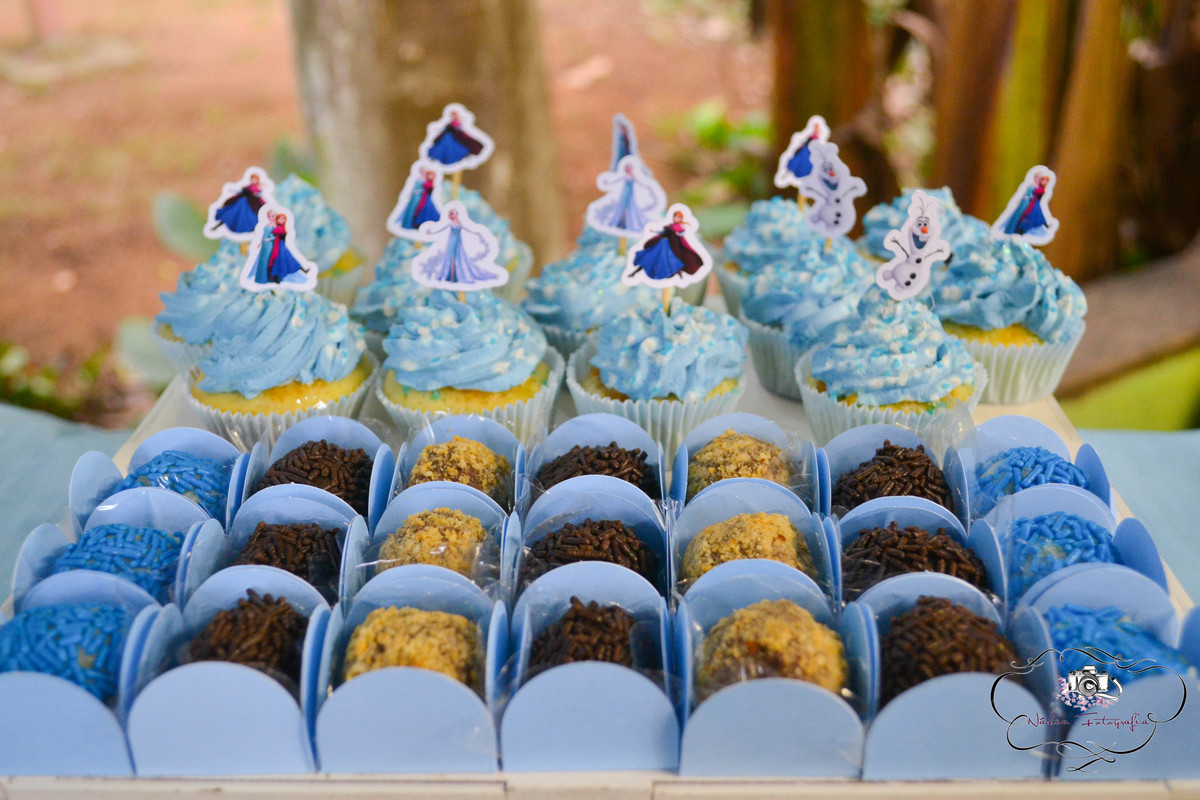 Festa-da-Frozen-no-sitio-Rio-de-Janeiro