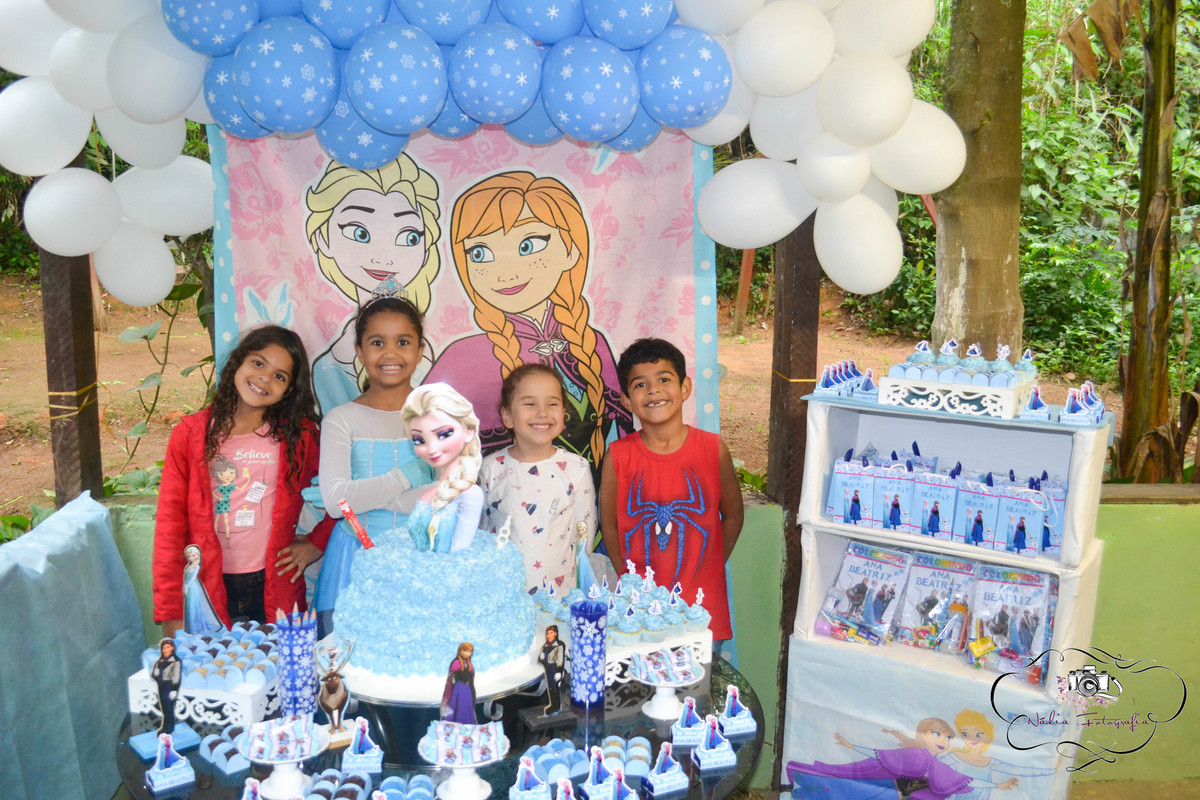 Festa-da-Frozen-no-sitio-Rio-de-Janeiro