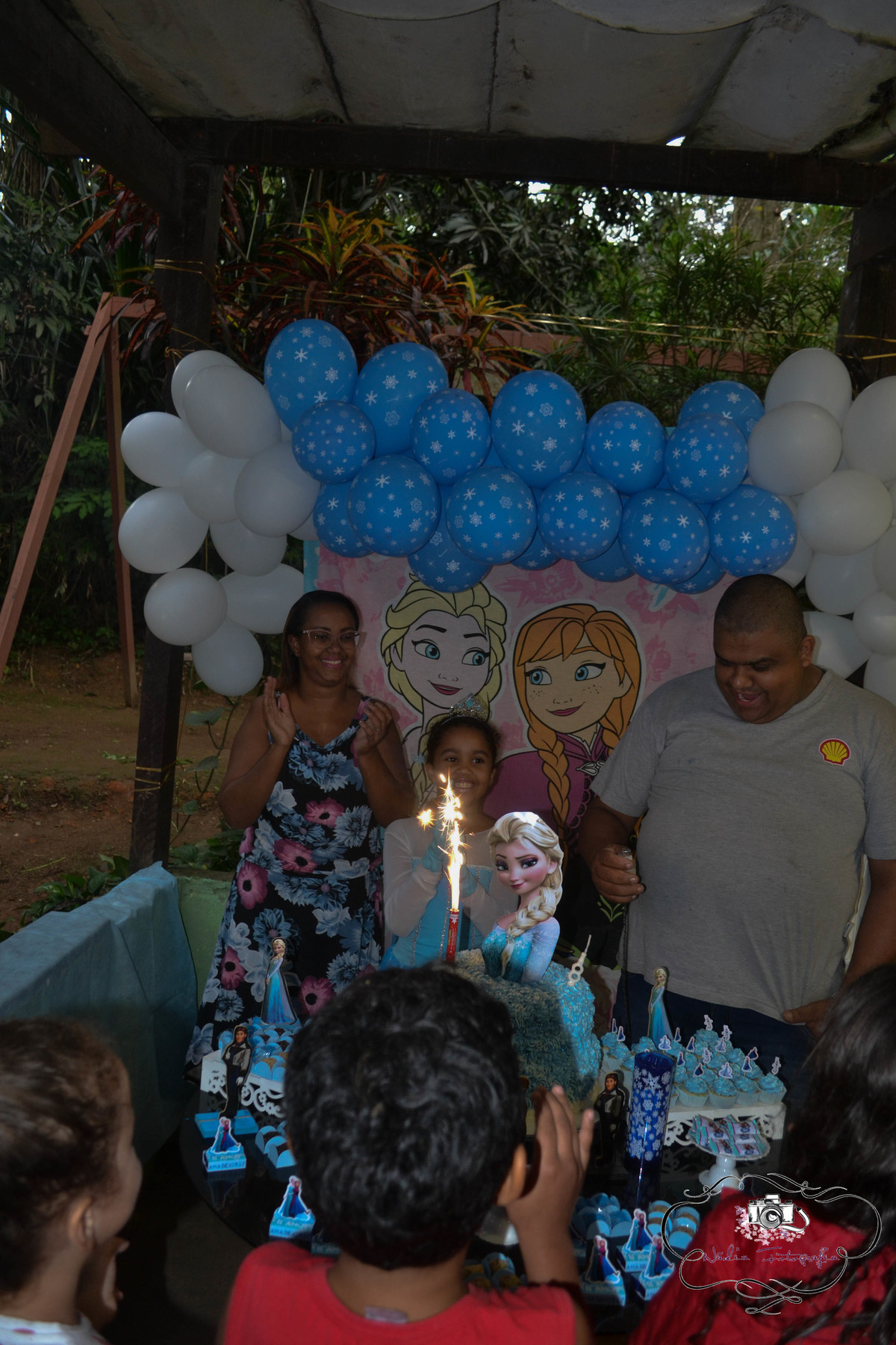 Festa-da-Frozen-no-sitio-Rio-de-Janeiro