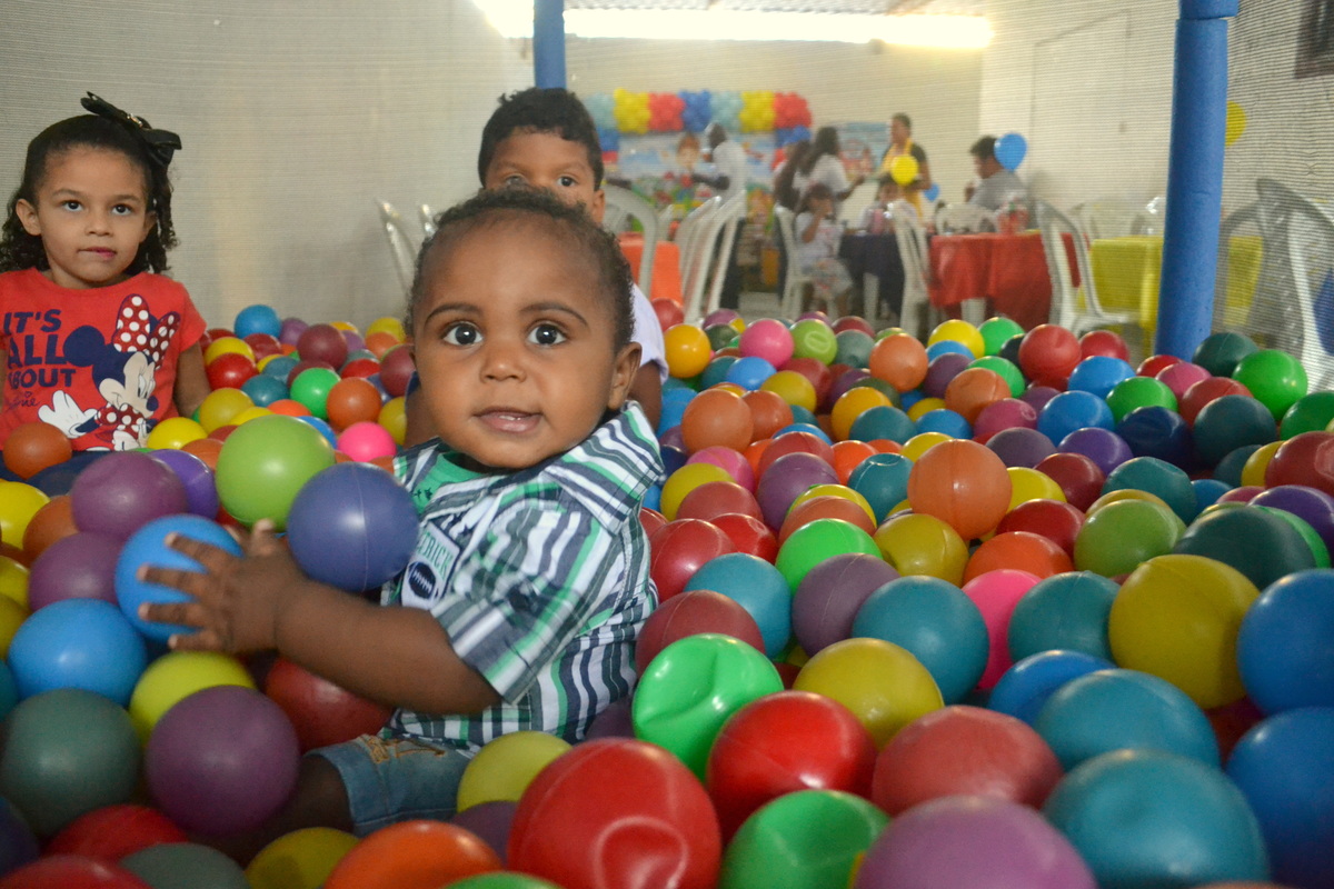 Festa-patrulha-canina-RJ