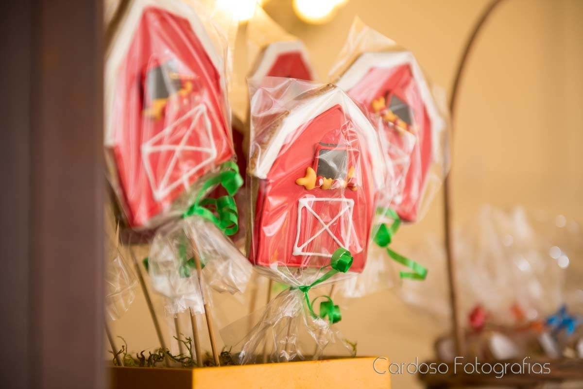 indy cristelli indaial