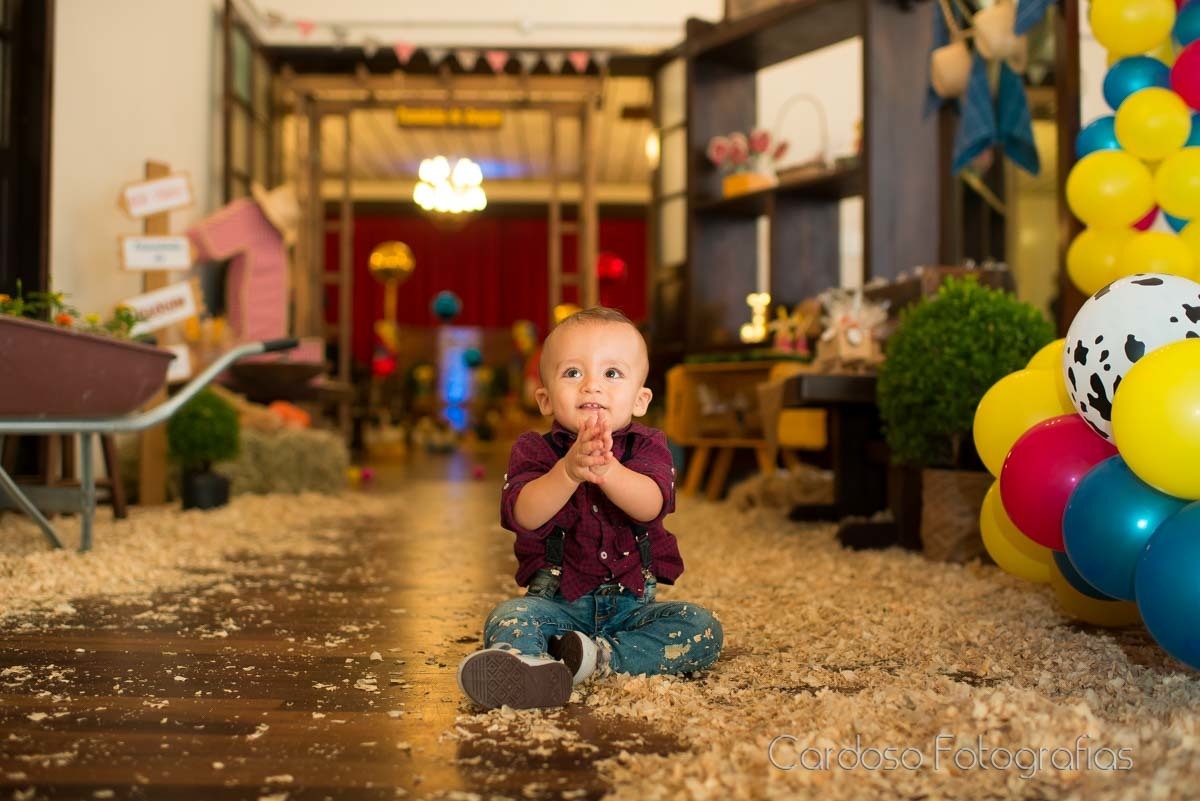 decoração fazendinha indaial