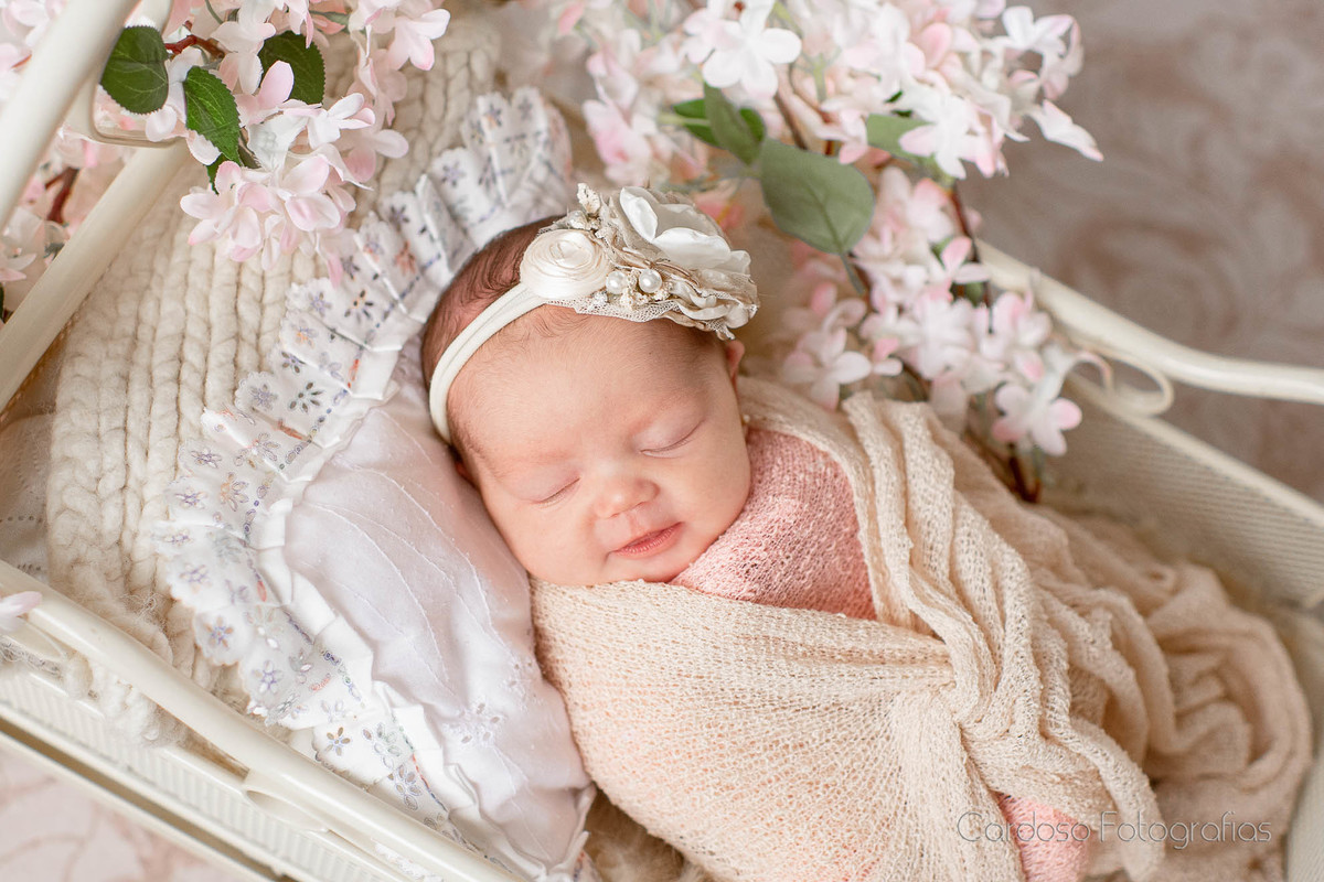 ensaio newborn timbó