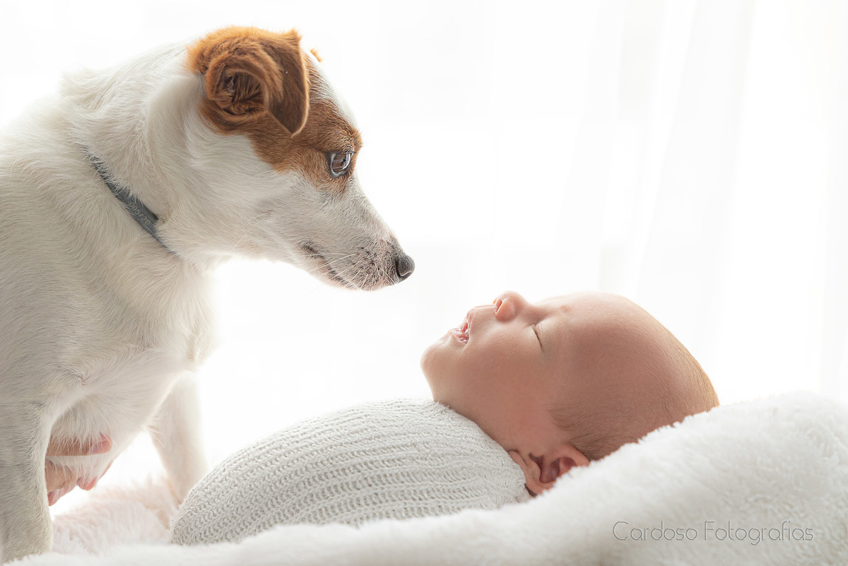 ensaio newborn blumenau