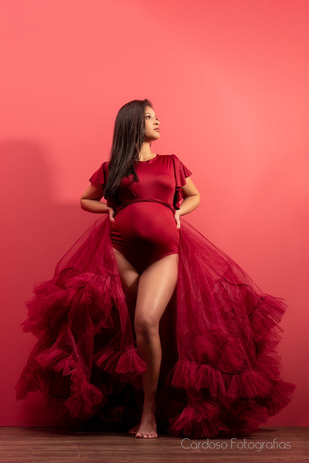 Registros da gestação