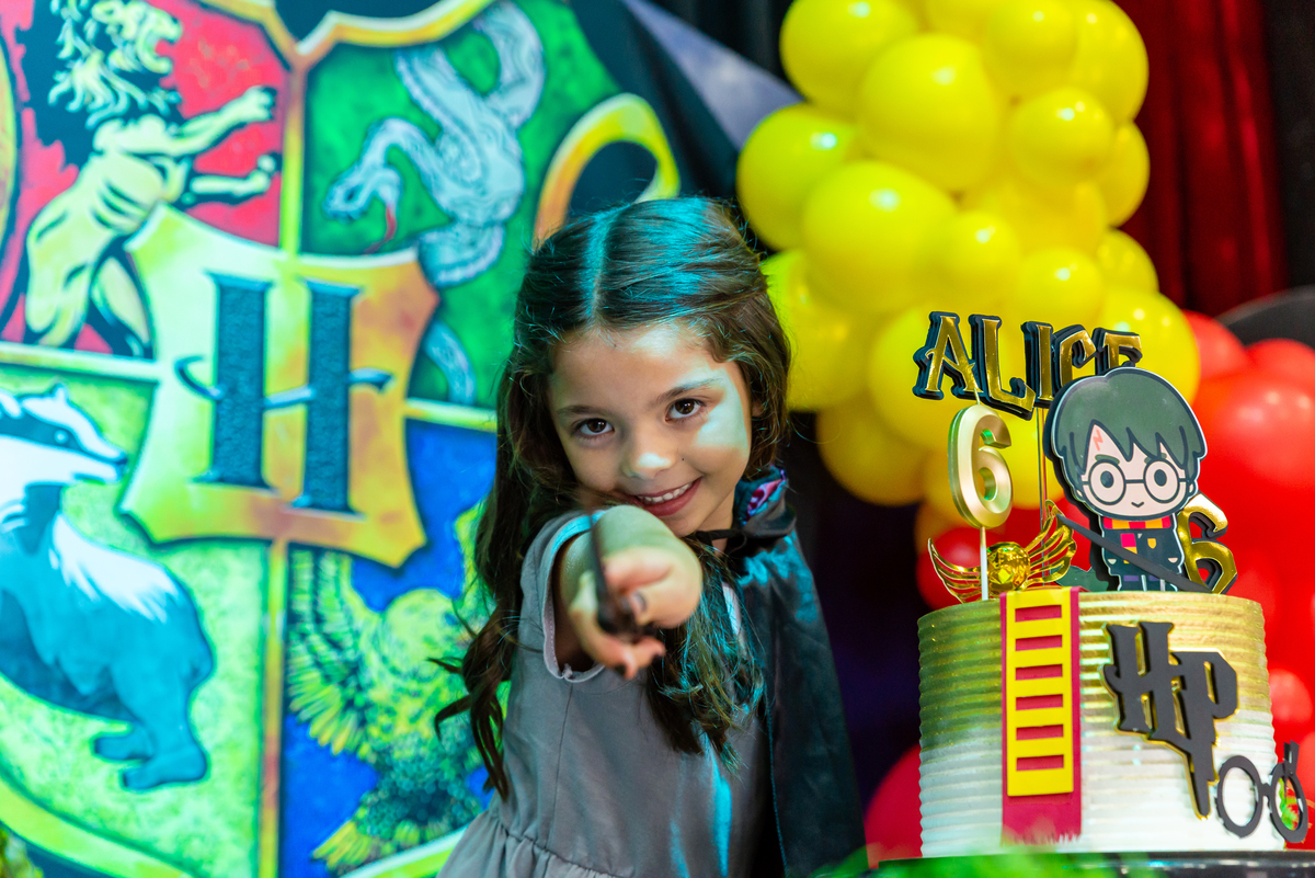 Decoração Harry Potter Blumenau