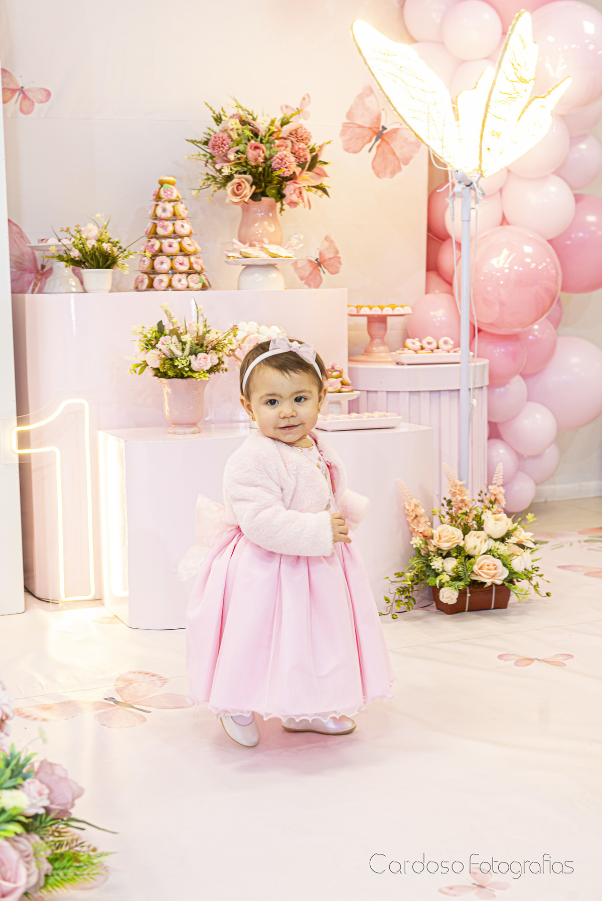 Fotógrafa ANiversário infantil Indaial