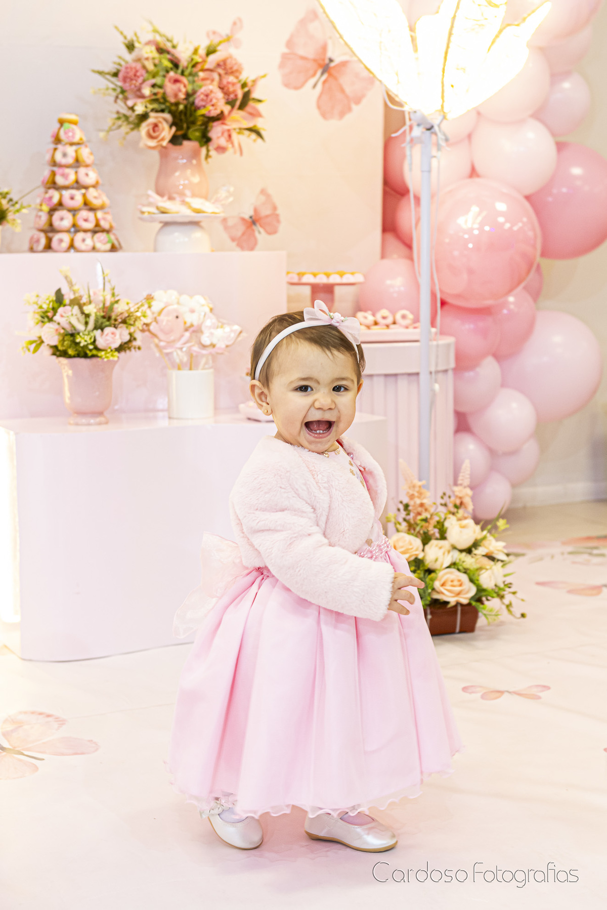 Fotógrafa ANiversário infantil Timbó